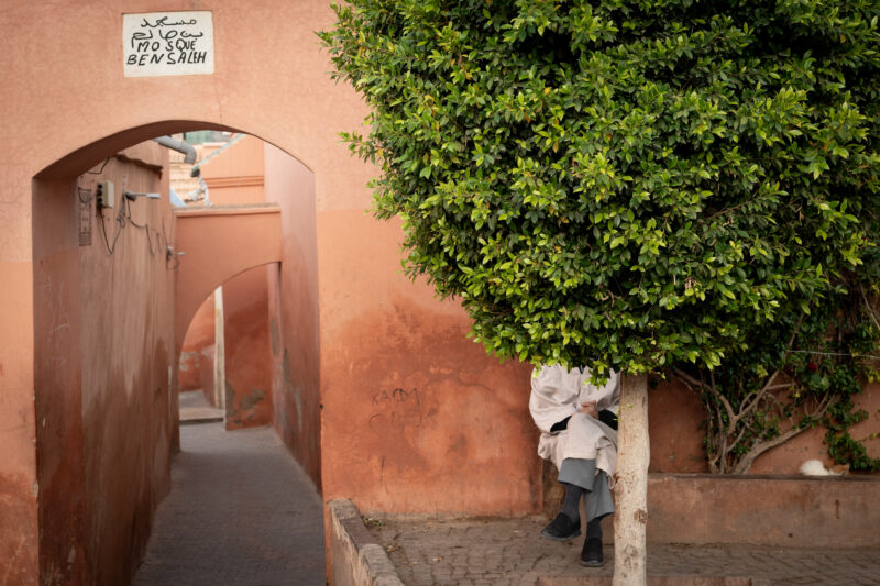 Hidden in Plain Sight